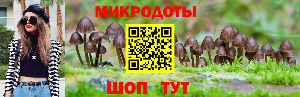 Ноябрьск  Галлюциногенные грибы MAGIC MUSHROOMS  Галлюциногенные грибы Psilocybe  Вход с VPN 